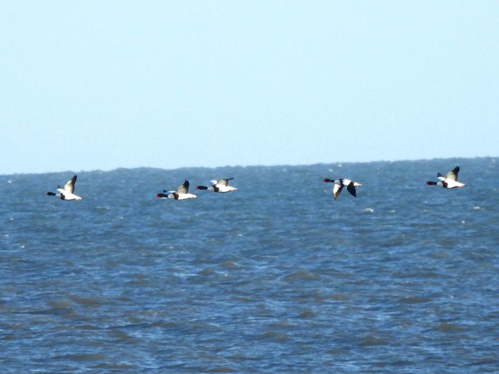 Mark Clements tweet media