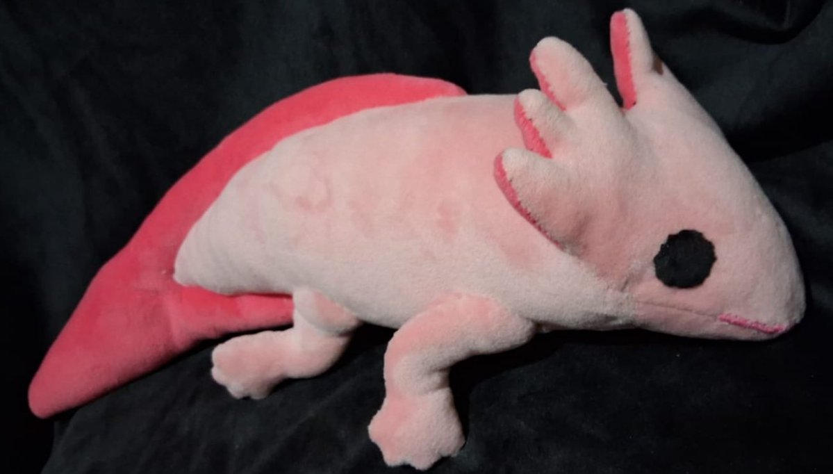 GABYCOLO tweet media