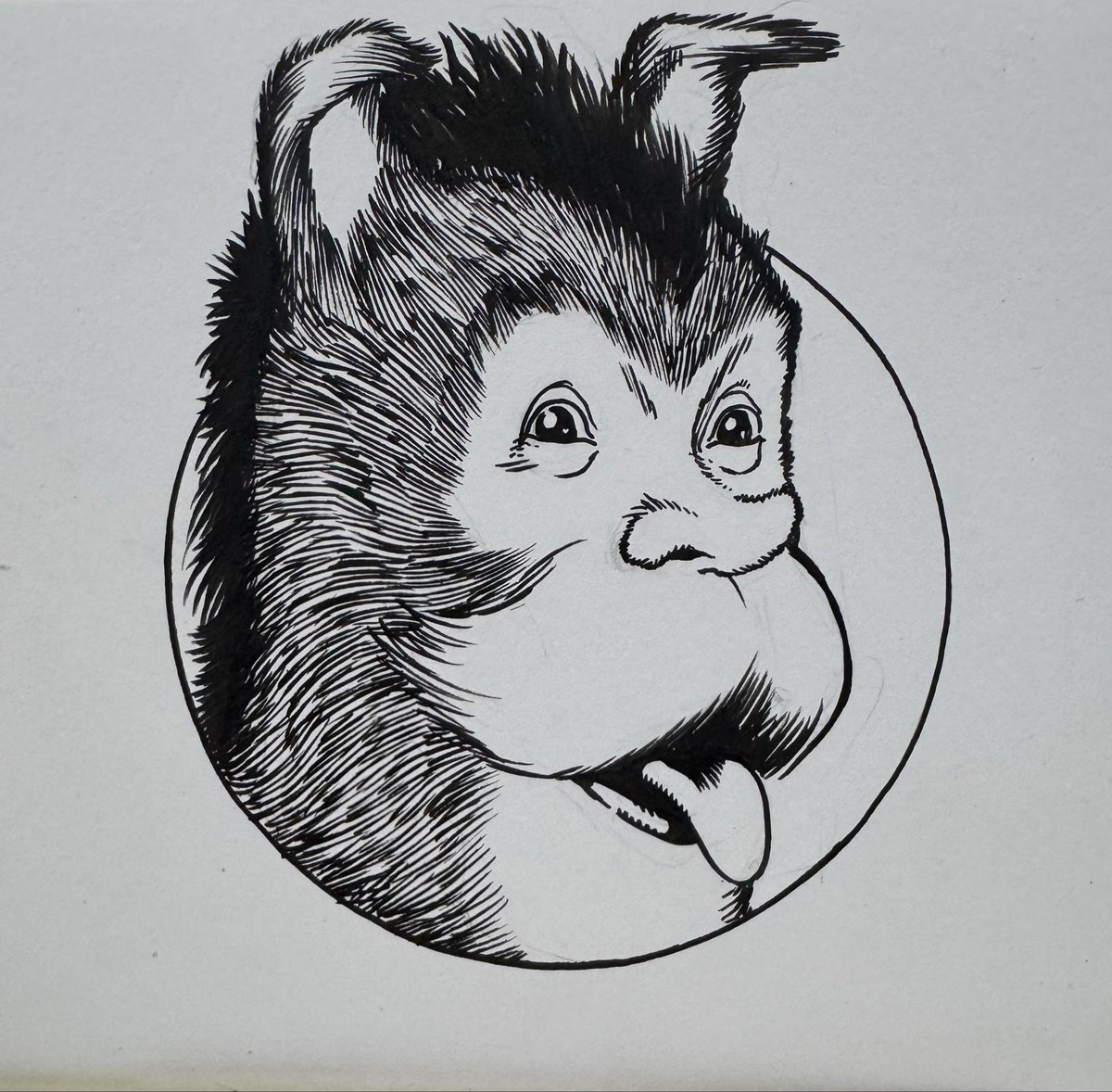 Kevin Maguire tweet media