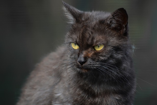 Melanie Hochstedler tweet media