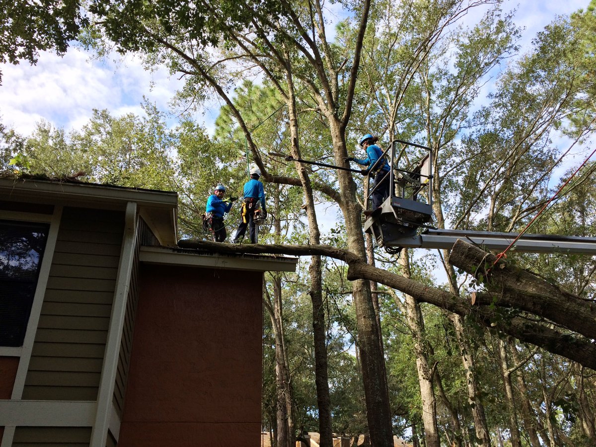 BrightView tweet media