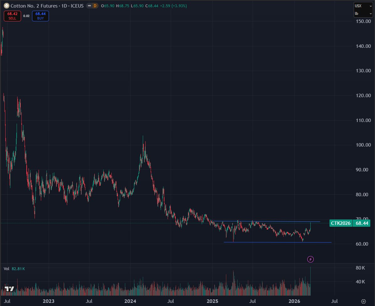 Tim Muirhead tweet media