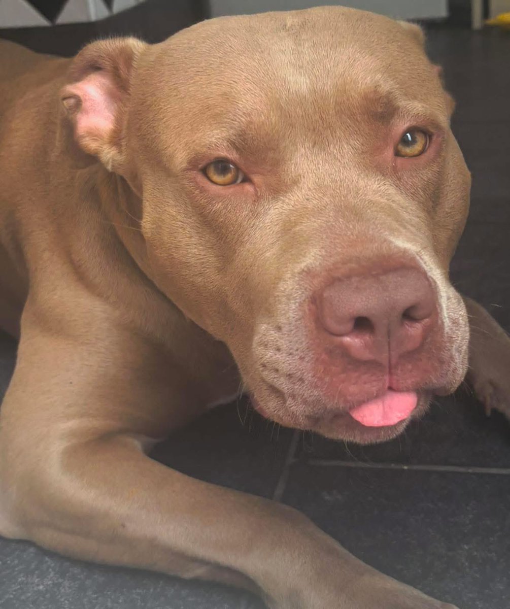 addy nuff x tweet media