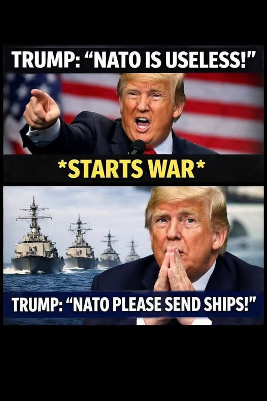 dave lawrence 🐟🐟🐠 tweet media