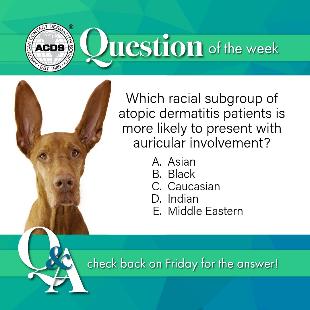 American Contact Dermatitis Society tweet media