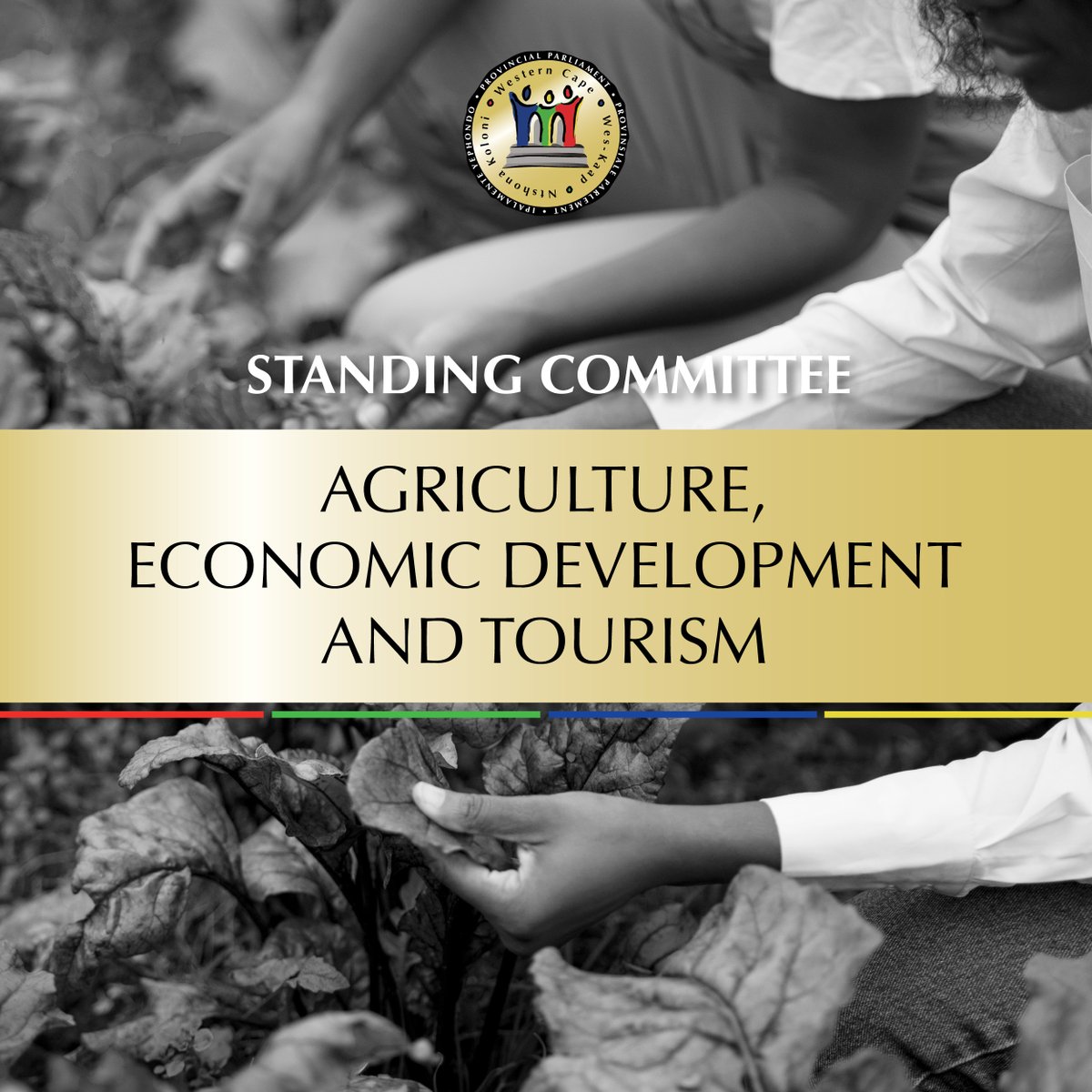 WesternCapeProvParl tweet media