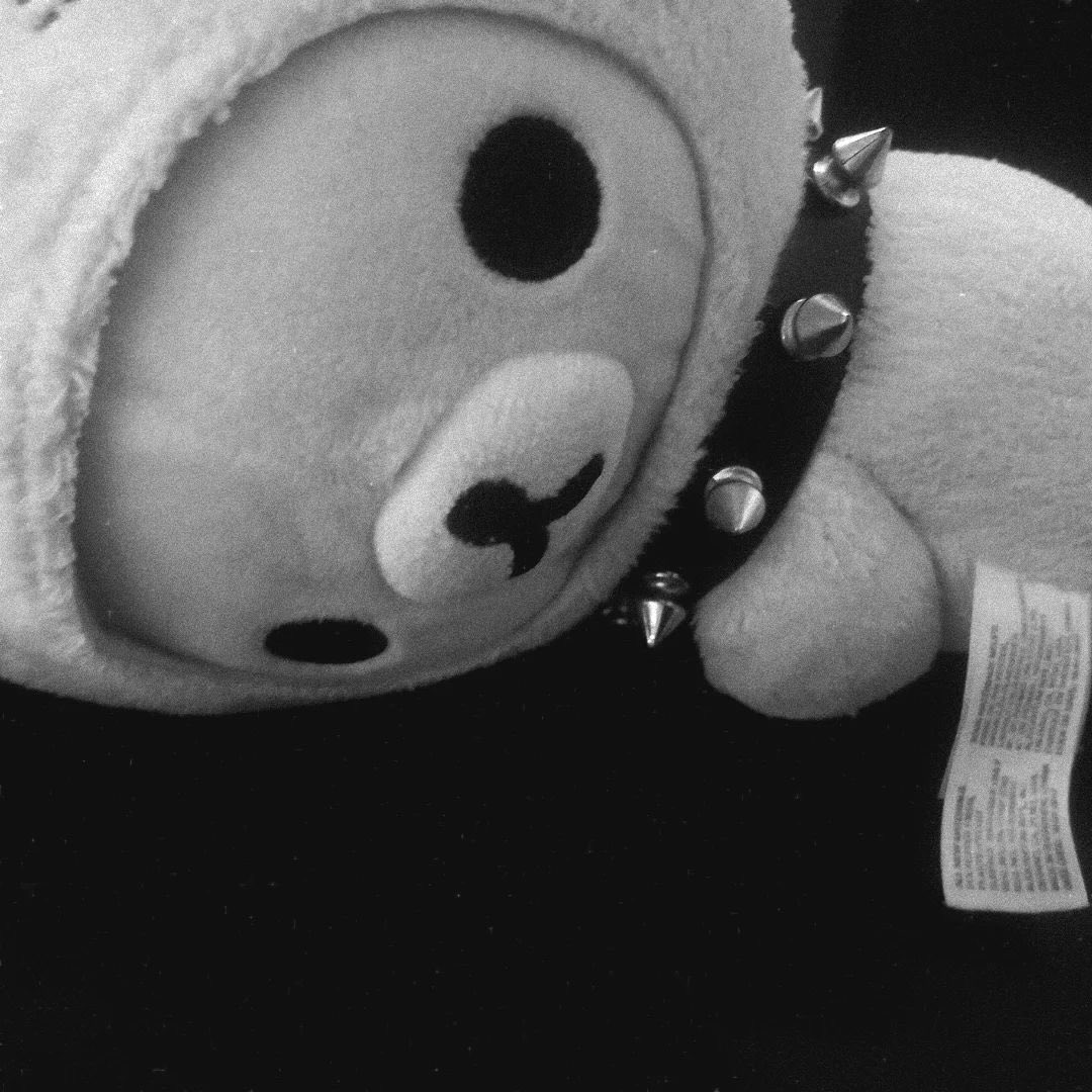 Clementine ´ཀ`. . . tweet media