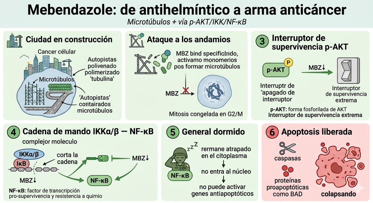 Dra. Natalia Prego Cancelo MD tweet media