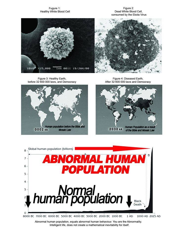 Derek Speed tweet media