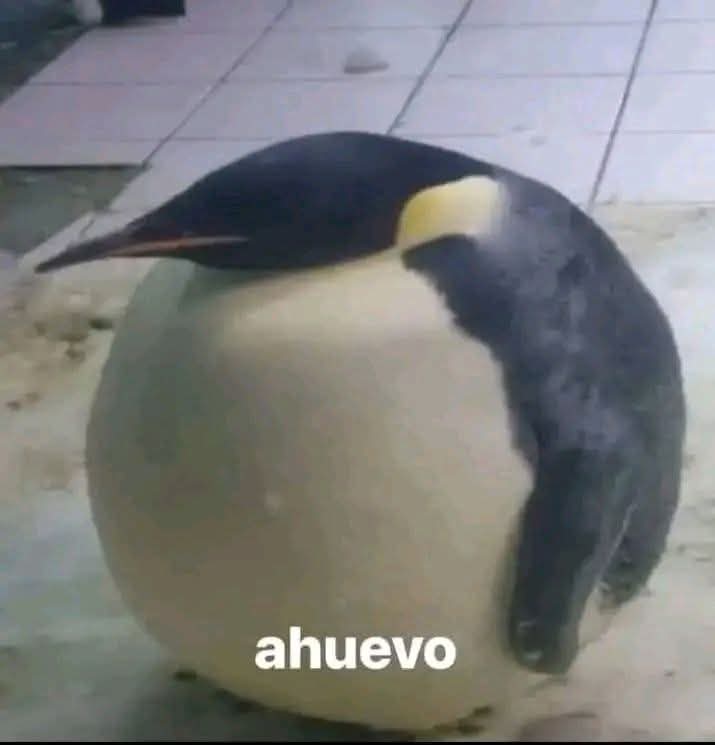 MhuxAlex's tweet photo. @Jorge_Most https://t.co/9ORE0Pi6lf