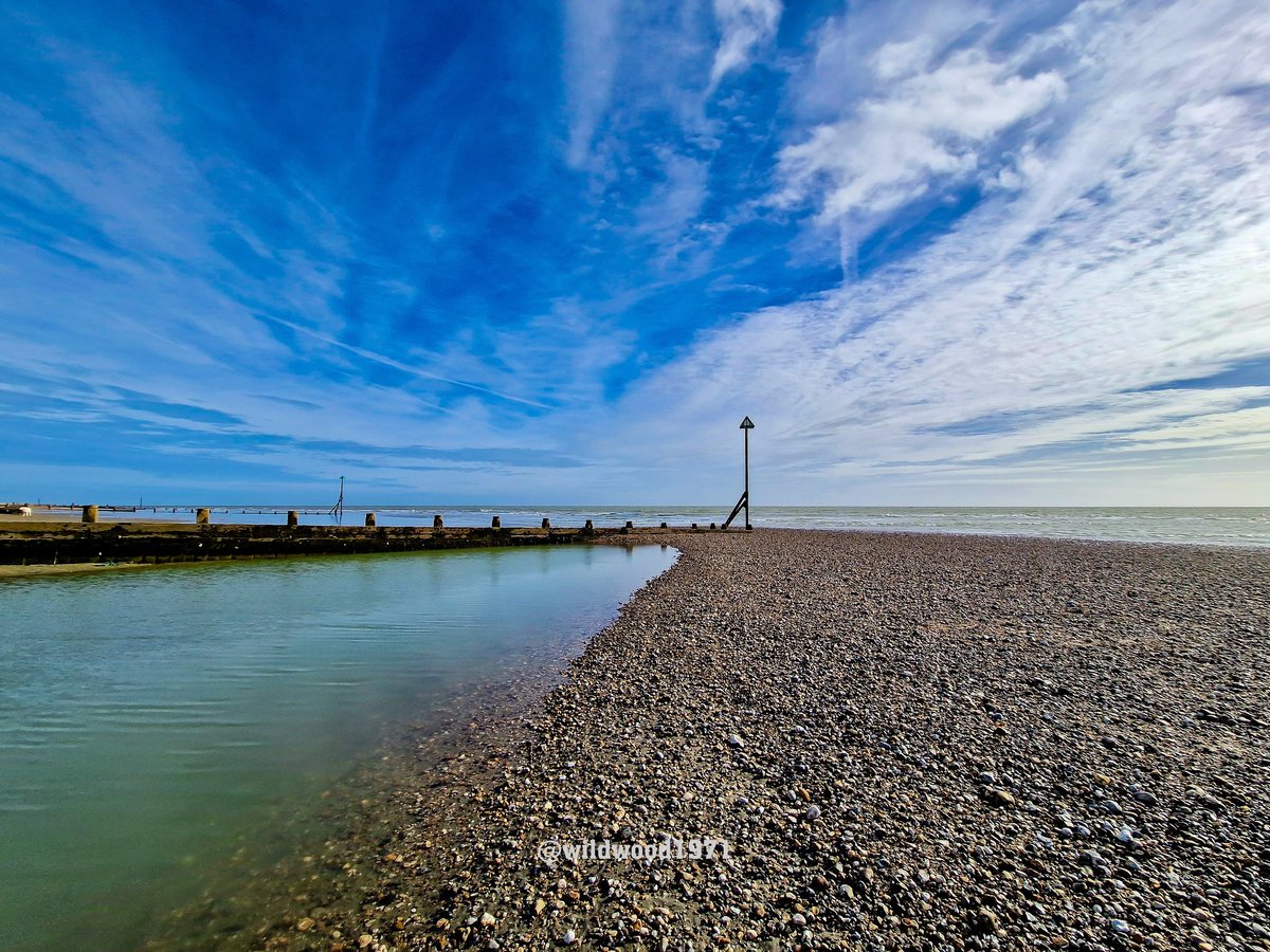 Wildwood1971 (Wild and Woody Photography) tweet media