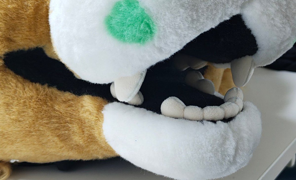 Shrumibo 🌿🍄 tweet media