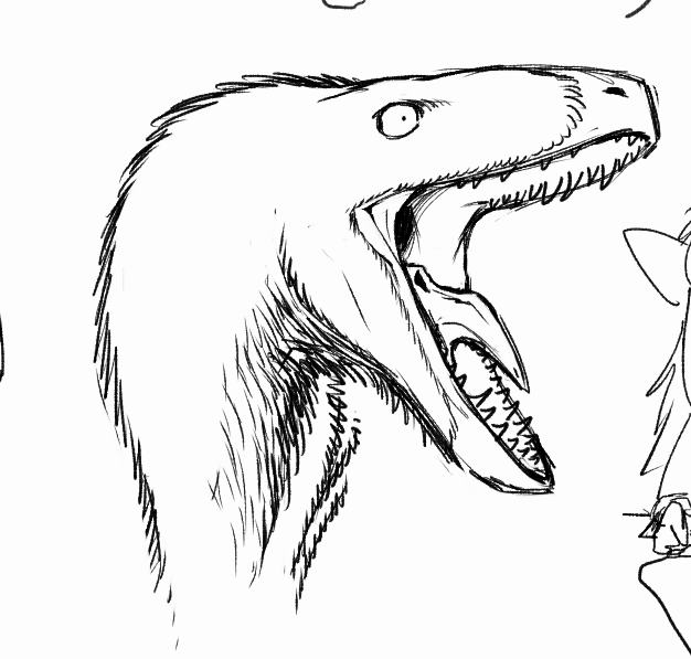 NightRaptor (COMMS OPEN) tweet media