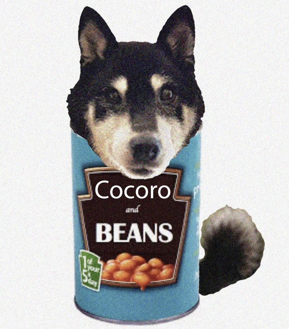 I'mma do the things that I wanna do
I ain't got a thing to prove to you
I'll eat my bones with the Cocoro and beans

🎵wooooooof.🎶
$cocoro $dog