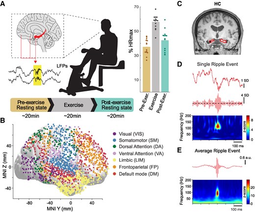 Louisa Nicola tweet media