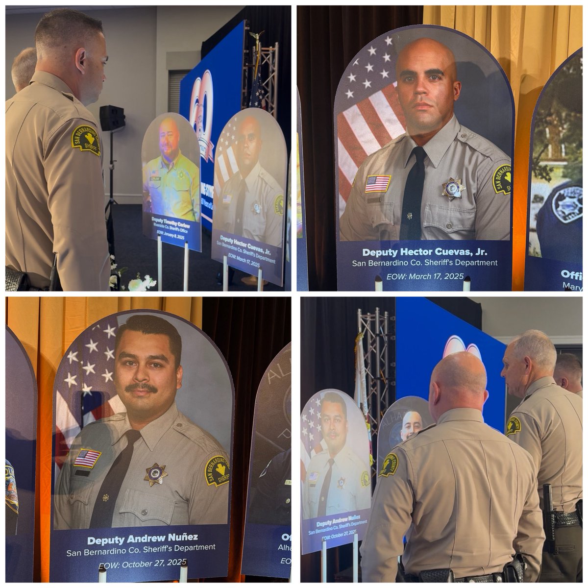 Shannon Dicus tweet media