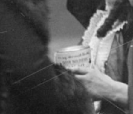 Wilbur 🇵🇸 tweet media