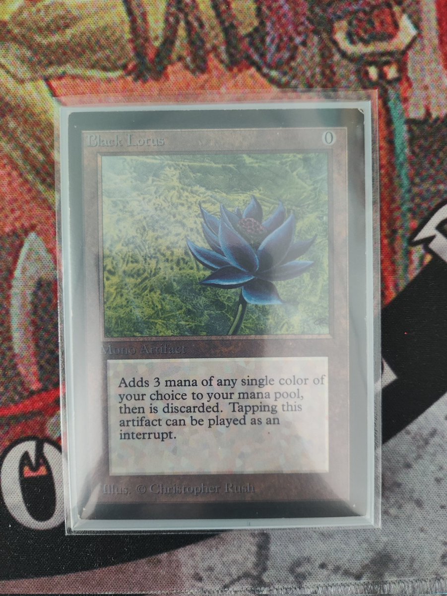 NumsgilMTG's tweet image. Está iba a ser la última pieza del P9 IE, la joya de la corona, LA CARTA de este juego, pero me he calentado y se lo he sacado a un frío germano a buen precio, y ya está conmigo!! Siuuuuu!!!! Vamos!!!
PD: vaya tipin se me va a quedar para el verano.
#mtg #oldschool #mtg9394