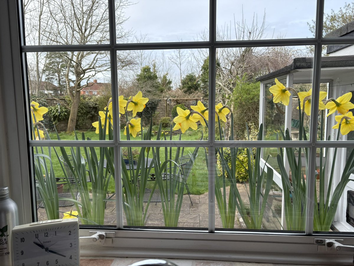 Finn 🌈 tweet media