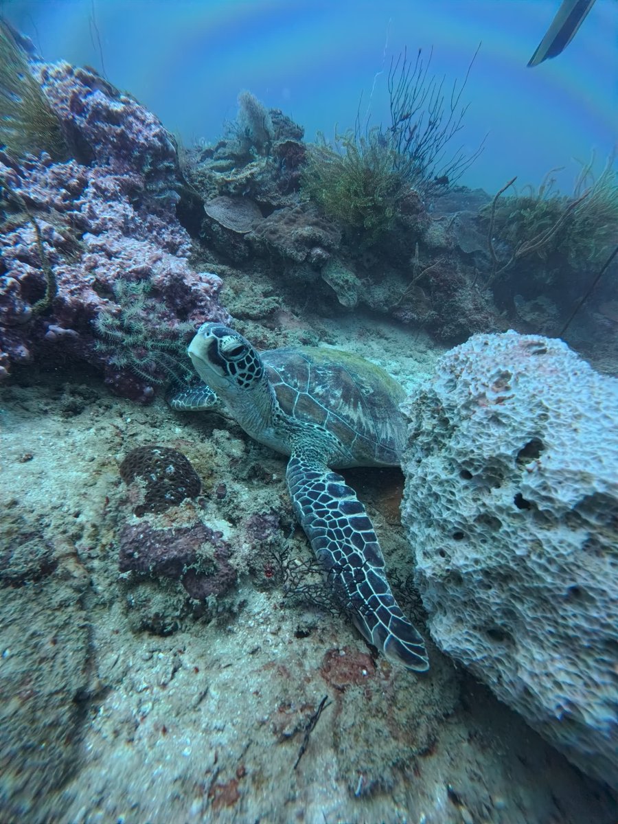 Science Department of Kinross High School tweet media