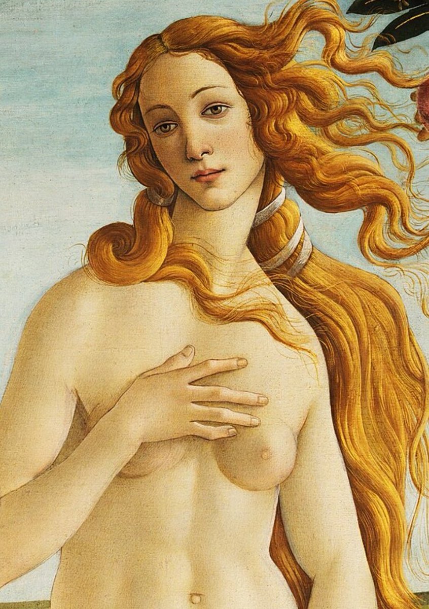 X_ArtGallery's tweet photo. Simonetta Vespucci https://t.co/hIWEU1Oh7u