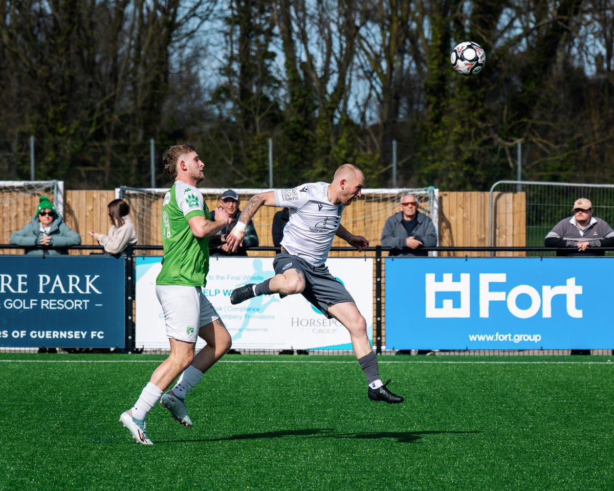 amymarshallcreative tweet media