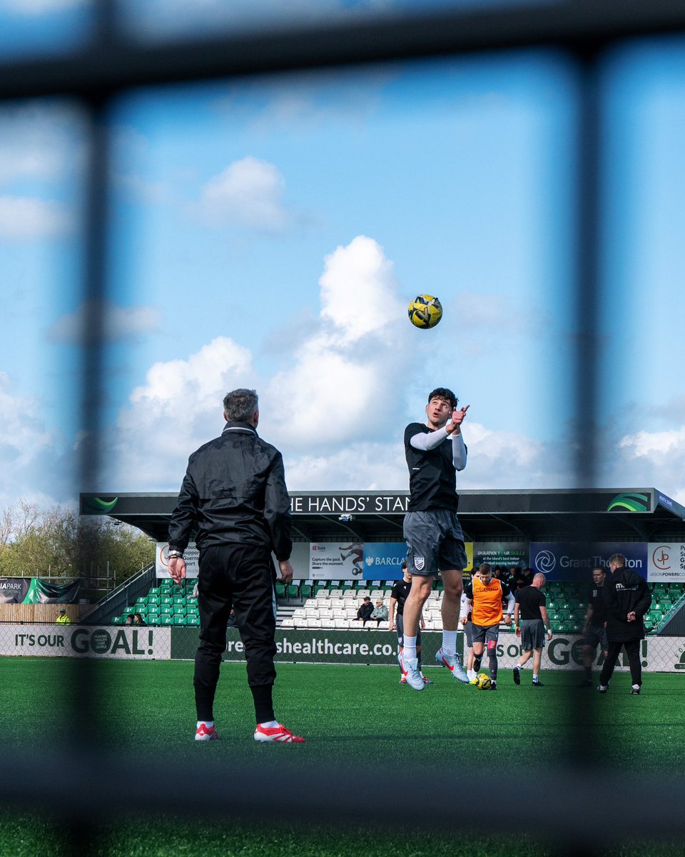 amymarshallcreative tweet media