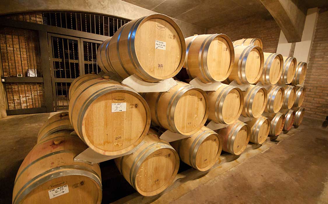 ExplorJourneys's tweet photo. Our tours in Mendoza: SAVORING FIRST-CLASS WINES IN MENDOZA'S CENTRAL REGION

Over the past 20 years, there has been a revolution in the Argentine wine industry, driven partly by the success of one grape that, in many countries, is used only for mixing â€“ the rich, velvety Malbec. Dense and dark, with full-body richness that few other grapes can mimic, the Argentine Malbec varietal has become all the rage in the United States, and is increasing in popularity among other countries as well. 94% of restaurants in the top ten wine markets in the US feature Malbec on their wine lists, according to a 2010 survey on Wine Spectator magazine.

Enjoy an exclusive wine tasting experience as you take in the taste of first-class Argentine wines, and visit some of the most prestigious wineries in Mendoza. Located at the foothills of the Andes mountain range, in the shadow of Mount Aconcagua, the vineyards in Mendoza are planted at some of the highest altitudes in the world; with the average site located anywhere between 2000 and 3600 feet (600 to 1100 meters) above sea level This allows winemakers to plant at exactly the right altitude for each grape variety to ripen perfectly. Argentina is the fifth wine producer in the world, and with over a thousand active wineries accounting for more than 70% of Argentina's wine production, Mendoza is considered the heart of the Argentine winemaking industry.

Guided by a local oenologist (wine expert), you'll enjoy touring the facilities of three wineries, while getting a close-up look at the process of wine-making, and of course tasting their wines.

This is a full-day private tour and includes gourmet lunch with wine tasting at a Mendoza winery.

@ExplorJourneys #ArgentinaVacation #ArgentinaTour #ArgentinaTrip #Mendozatrip #Mendozavineyards