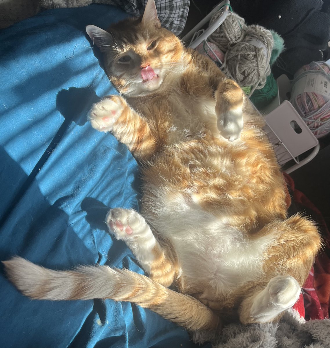 catrick swayze & donnie tweet media