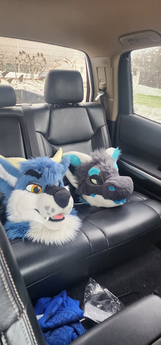 ZirrionDragon's tweet photo. Going on a trip together https://t.co/E4tBCOpPx0