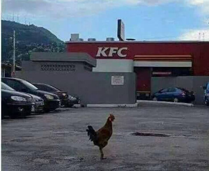 SaxX ¯\_(ツ)_/¯ tweet media