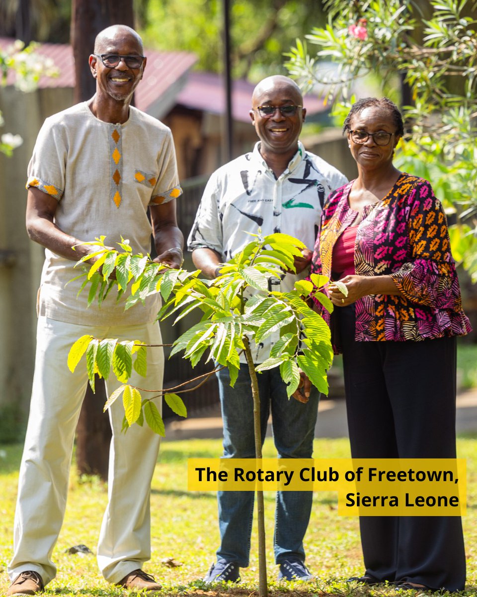 Rotary Brasil tweet media