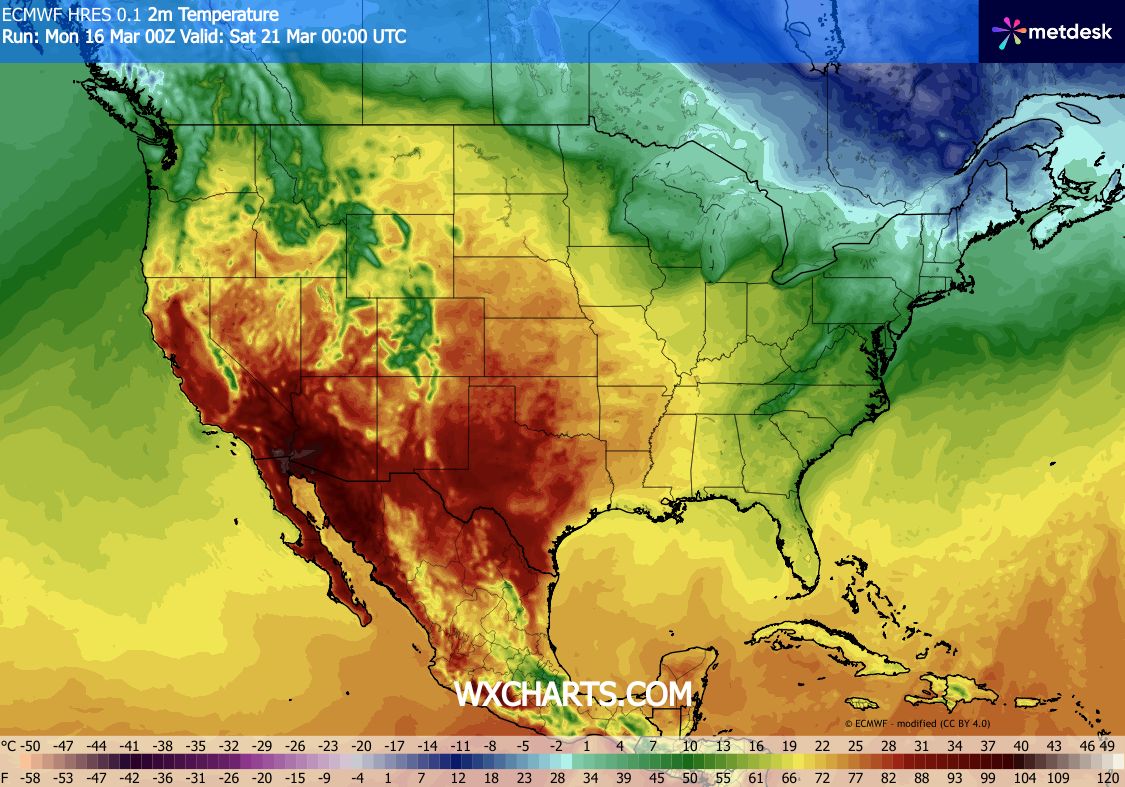 ➡️ Robert de Vries tweet media