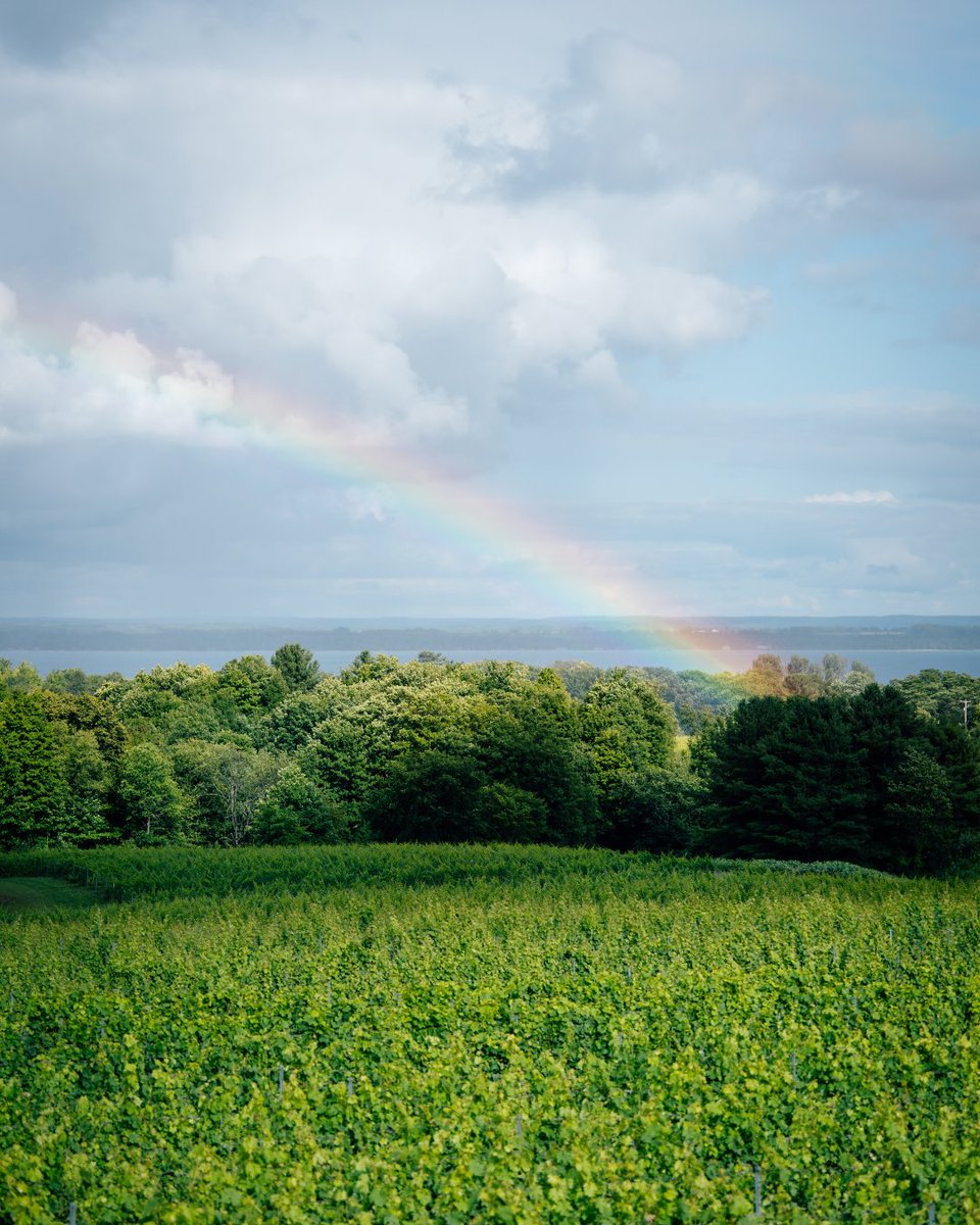 Pure Michigan tweet media