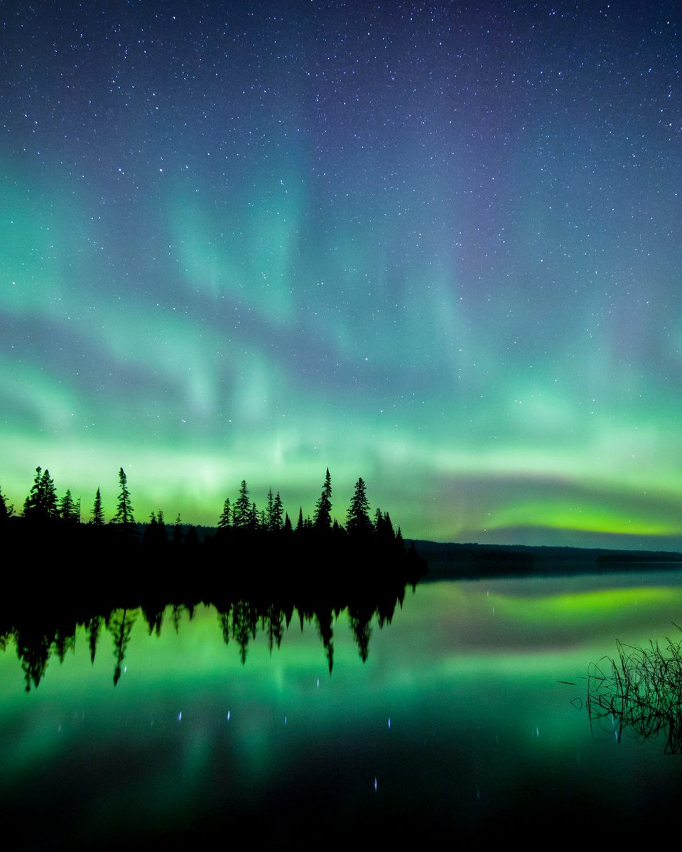 Pure Michigan tweet media