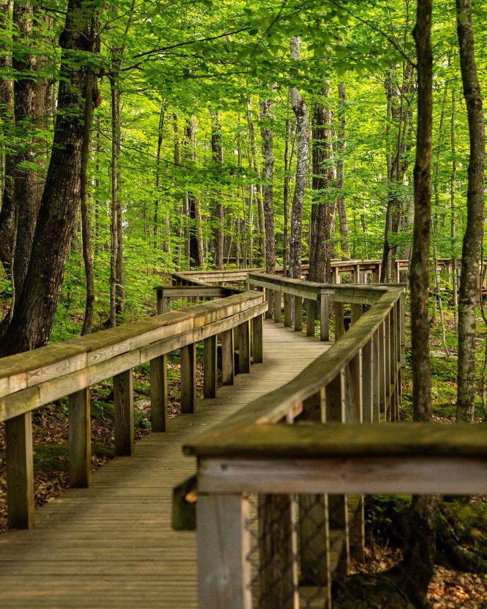 Pure Michigan tweet media