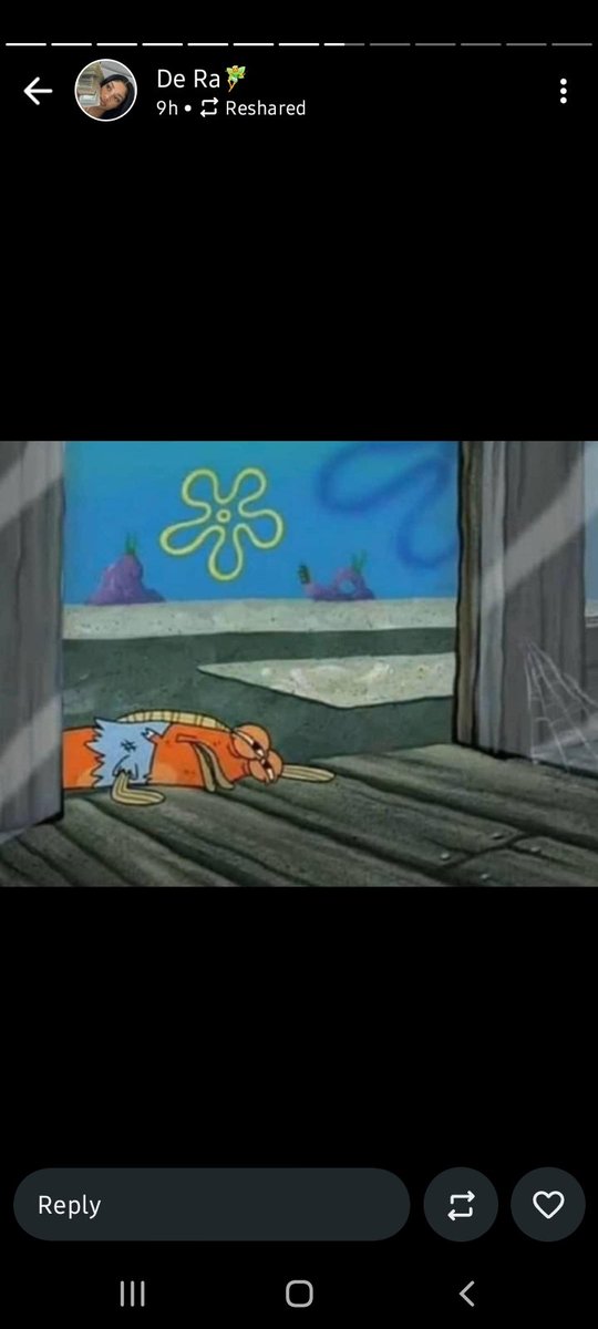 Zedek 🦝 tweet media