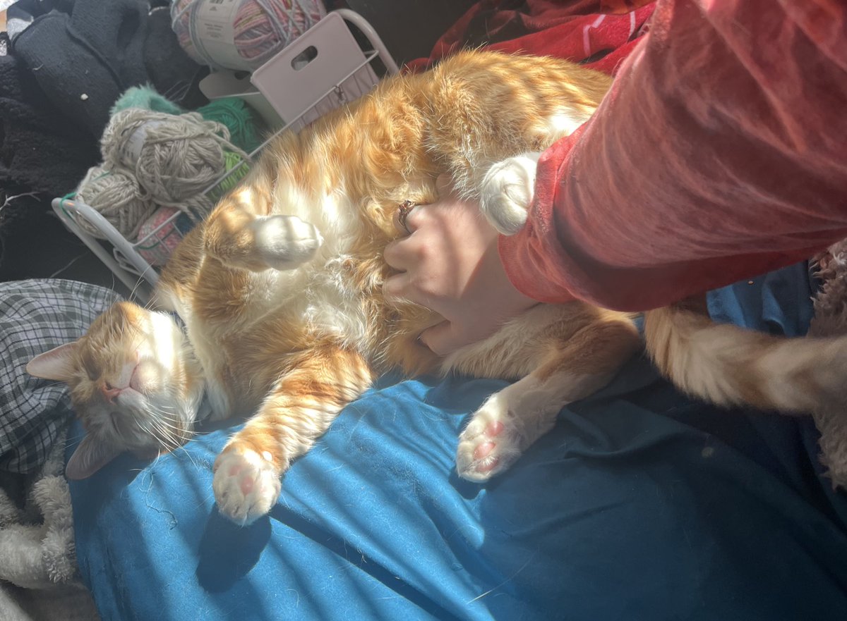 catrick swayze & donnie tweet media