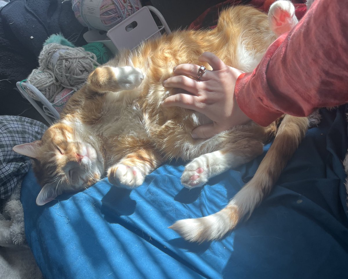 catrick swayze & donnie tweet media