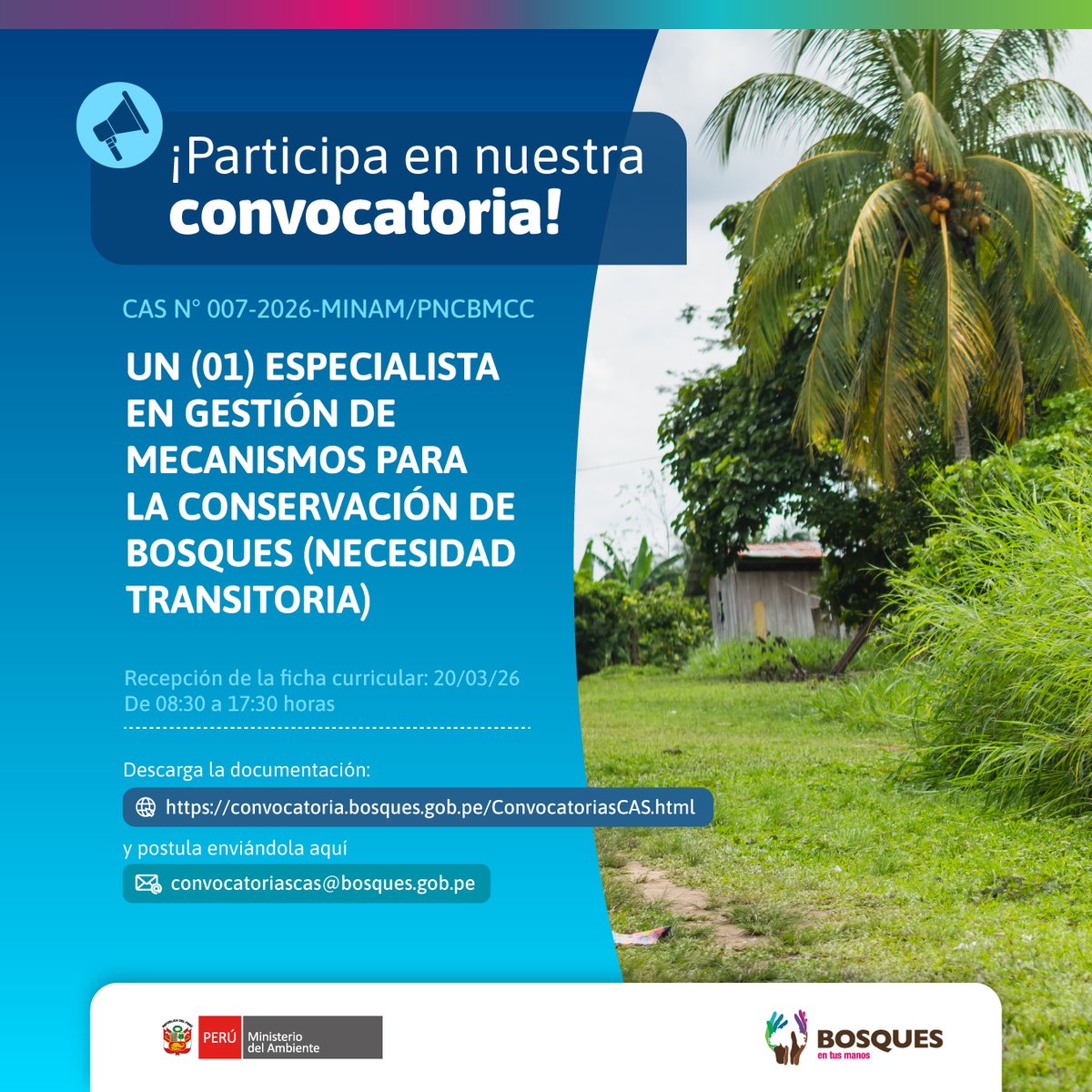 Programa Bosques tweet media