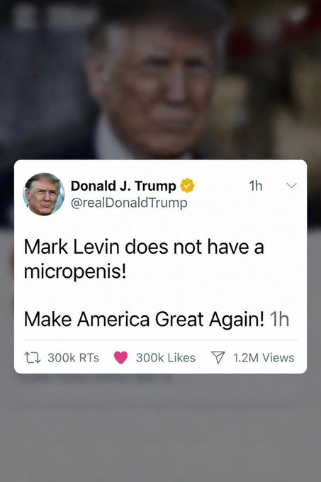 ThePatrioticBlonde🇺🇸 tweet media