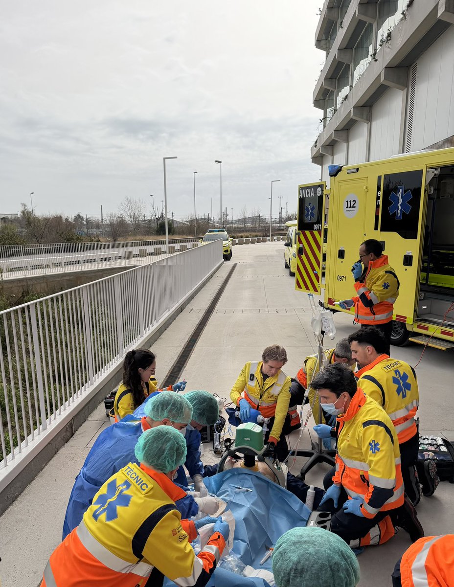 Eduard Argudo tweet media