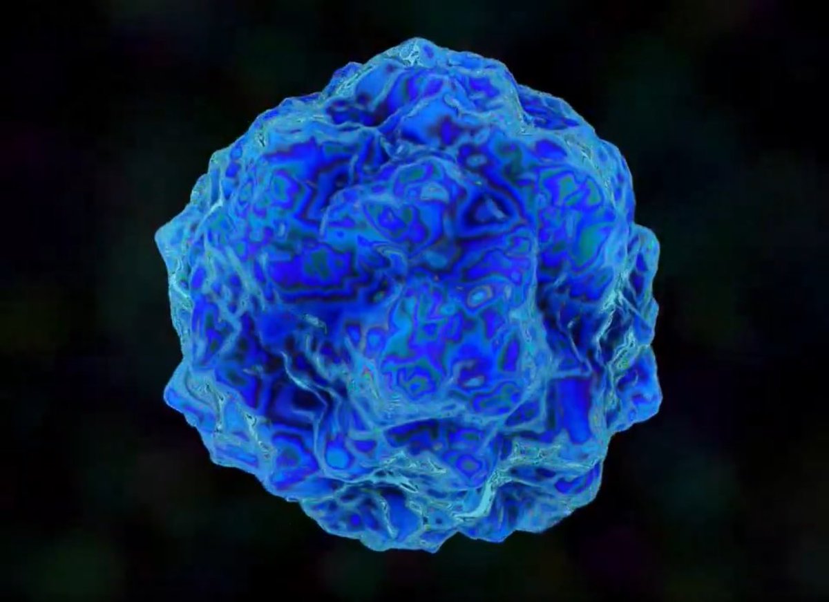 Mr. Sonic 🚬🦔 tweet media