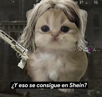 🦖 Ing. Amatesaurius 🦖🍄 tweet media