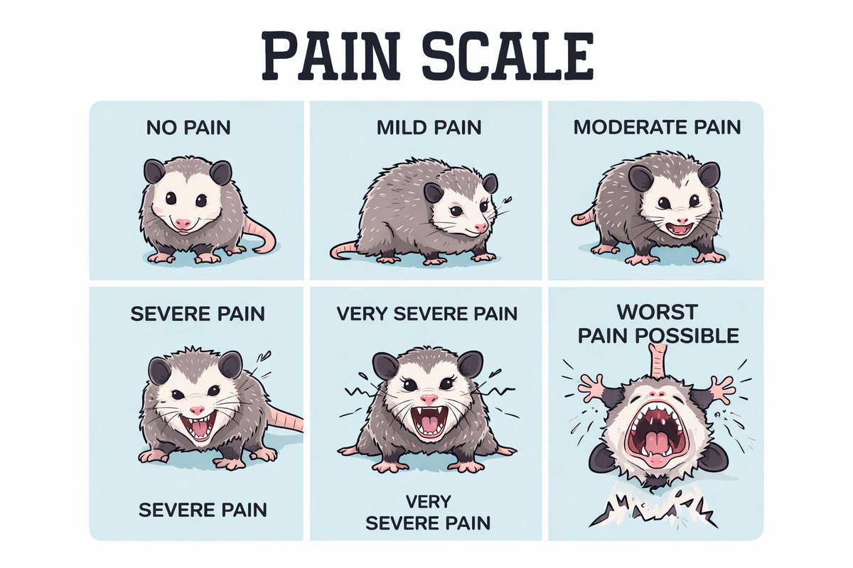 Supersonic Redhead🛫 tweet media