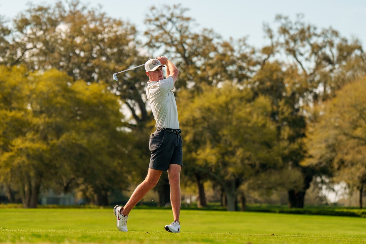 Minnesota Men's Golf tweet media