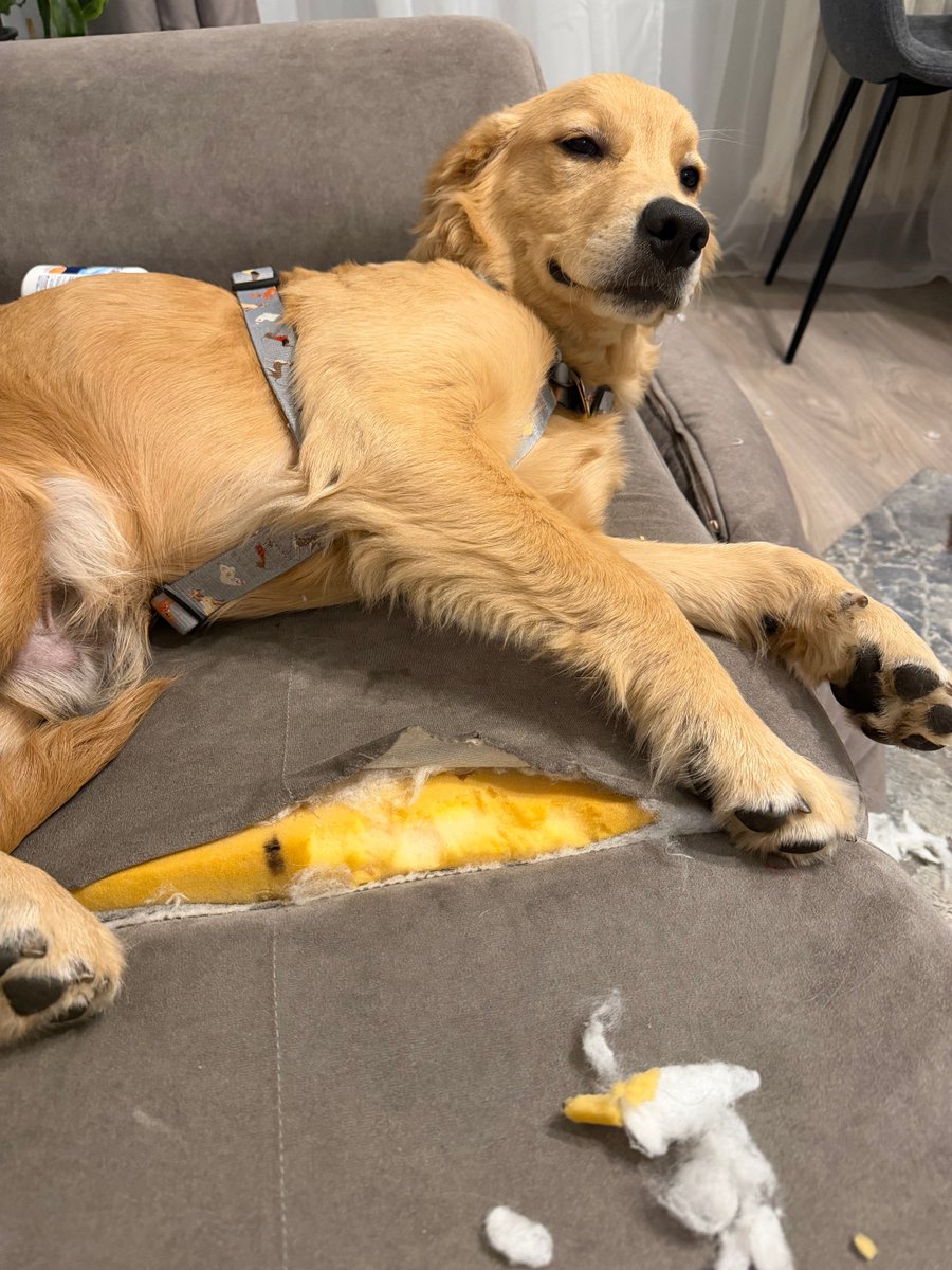 Mário Pastva tweet media