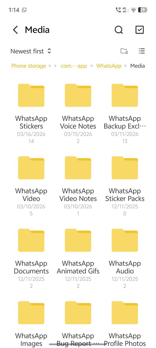 Noah Cat tweet media