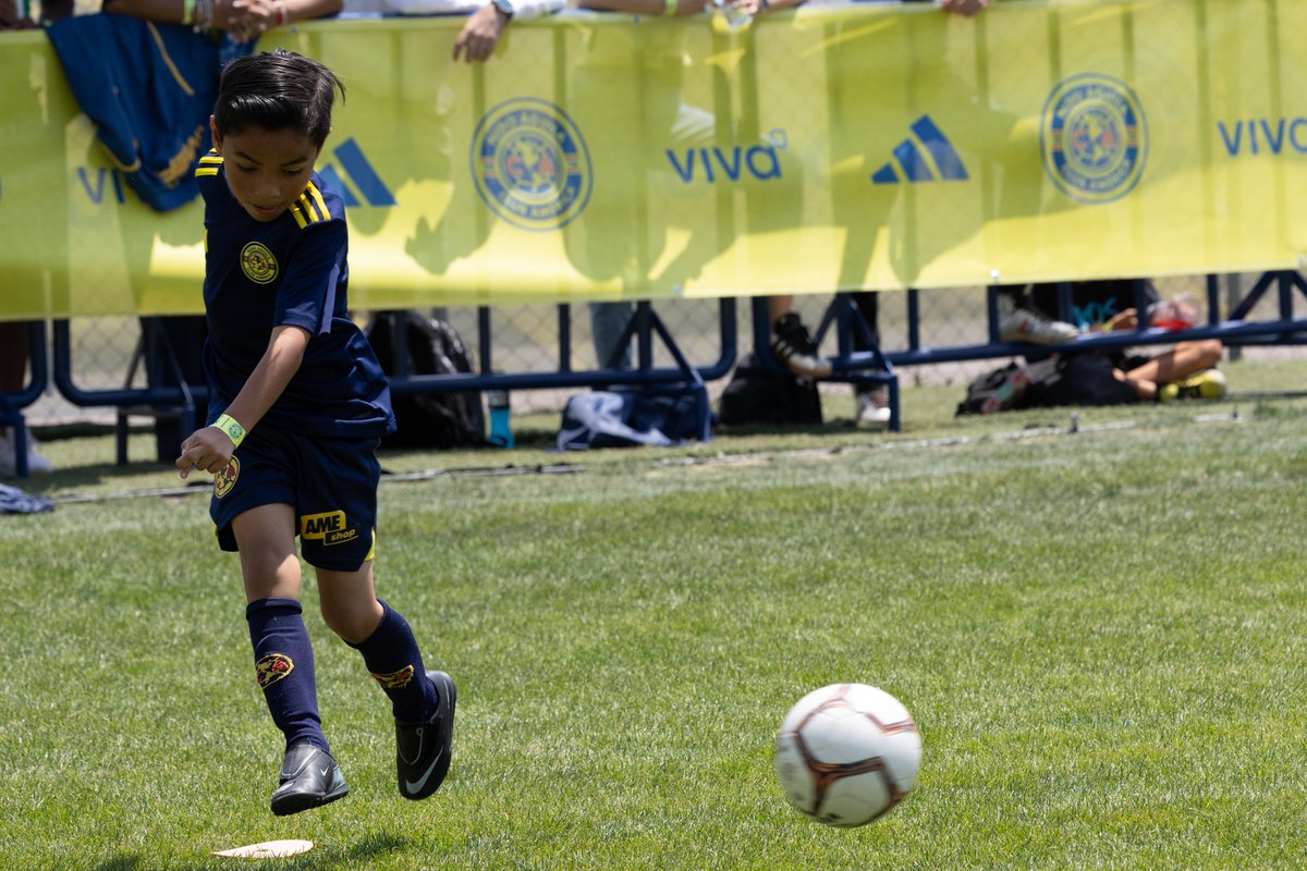 Club América tweet media