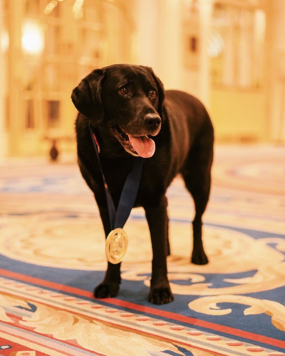 Boston Marathon tweet media